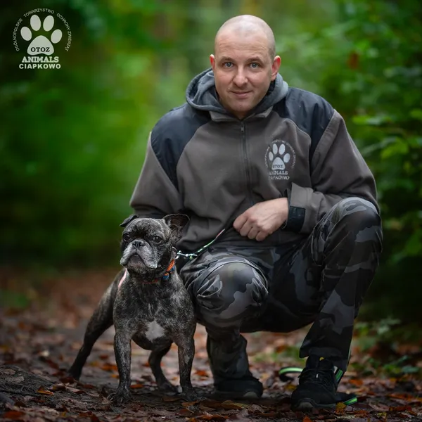 Pies do adopcji, Gdynia, 19 listopada 2025 (4/4)