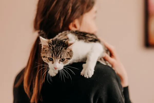 Kot do adopcji, Czartki, 21 listopada 2025 (5/5)