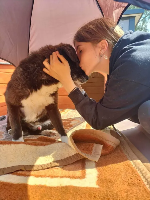 Oddam psa, Warszawa, Stary Mokotów, 22 listopada 2025 (2/5)