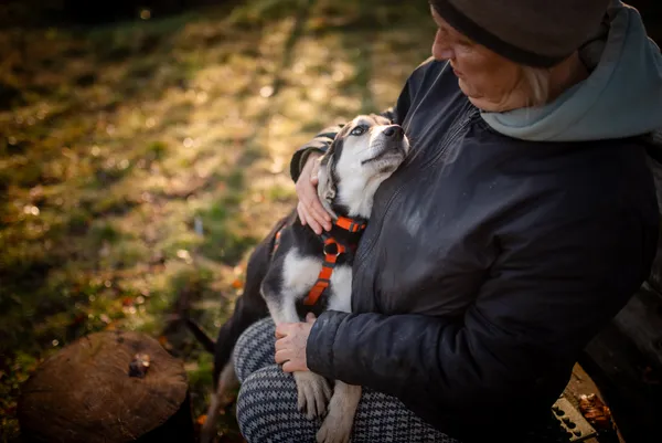 Oddam psa, Warszawa, Chomiczówka, 24 listopada 2025 (2/5)