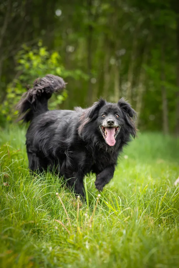 Oddam psa, Warszawa, Koło, 30 listopada 2025 (2/4)