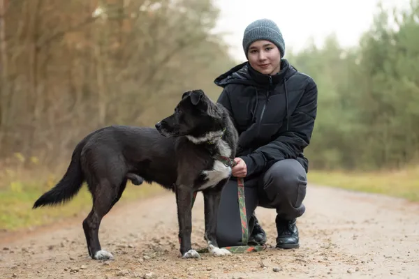 Pies do adopcji, Nowodwór, 8 grudnia 2025 (3/5)