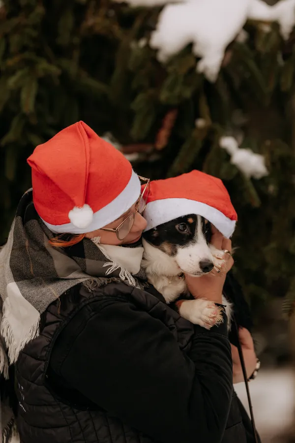 Pies do adopcji, Czartki, 9 grudnia 2025 (3/5)