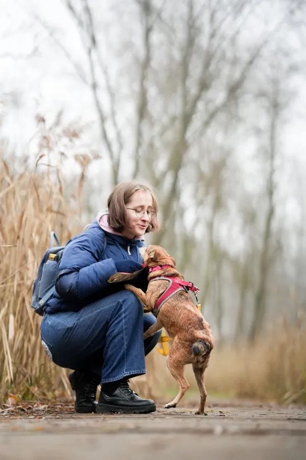 Pies do adopcji, Sosnowiec, 10 grudnia 2025 (4/5)