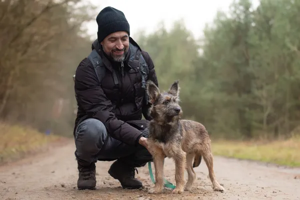 Pies do adopcji, Nowodwór, 11 grudnia 2025 (2/5)