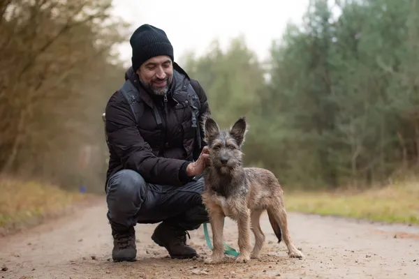 Pies do adopcji, Nowodwór, 11 grudnia 2025 (4/5)