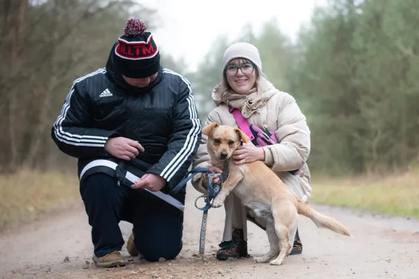 Pies do adopcji, Nowodwór, 11 grudnia 2025 (1/5)