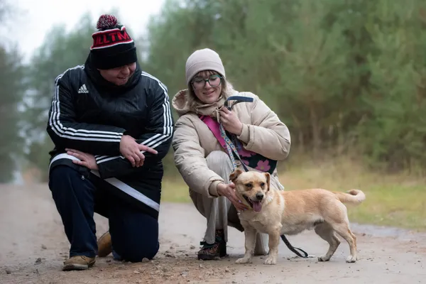 Pies do adopcji, Nowodwór, 11 grudnia 2025 (3/5)