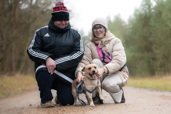 Pies do adopcji, Nowodwór, 11 grudnia 2025 (4/5)