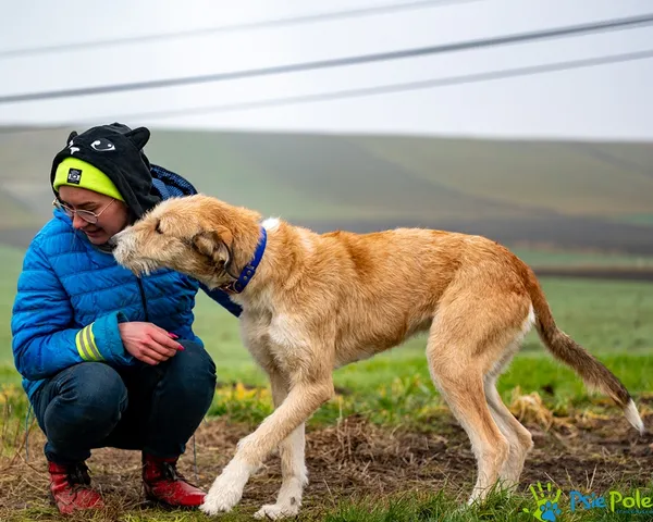 Pies do adopcji, Racławice, 12 grudnia 2025 (3/5)
