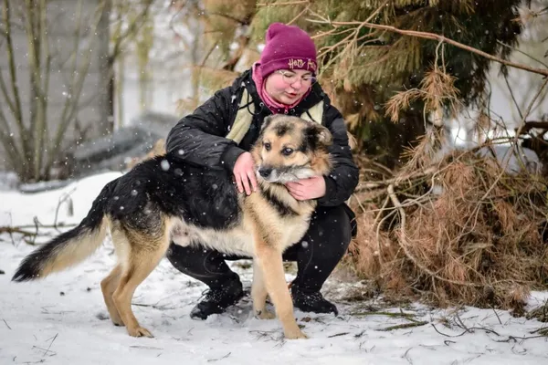 Pies do adopcji, Radom, 28 stycznia 2026 (5/5)