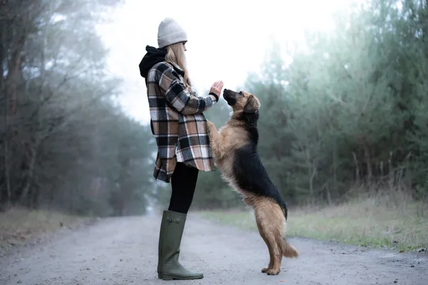 Pies do adopcji, Nowodwór, 21 grudnia 2025 (1/5)