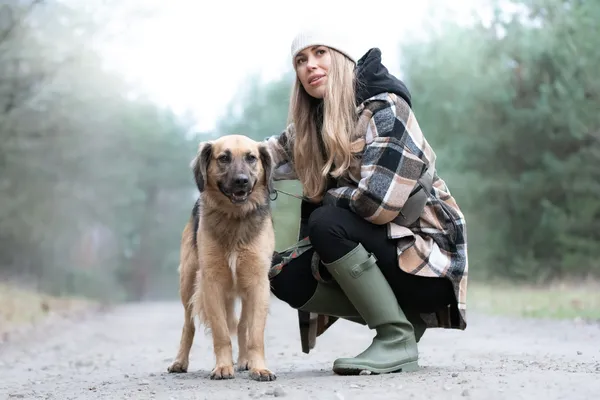 Pies do adopcji, Nowodwór, 21 grudnia 2025 (2/5)