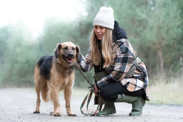 Pies do adopcji, Nowodwór, 21 grudnia 2025 (3/5)