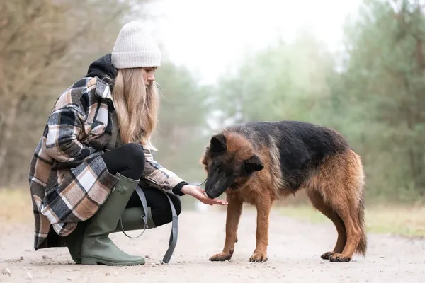 Pies do adopcji, Nowodwór, 18 grudnia 2025 (3/5)
