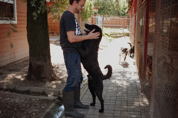 Oddam psa, Warszawa, Nowa Praga, 26 grudnia 2025 (2/4)