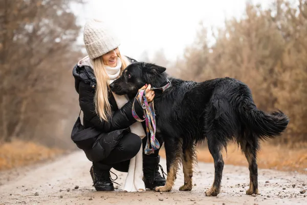 Pies do adopcji, Nowodwór, 27 grudnia 2025 (4/5)