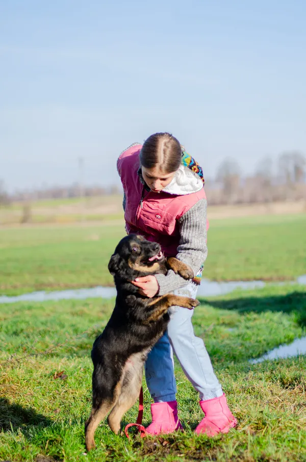 Oddam psa, Warszawa, Koło, 28 grudnia 2025 (4/6)