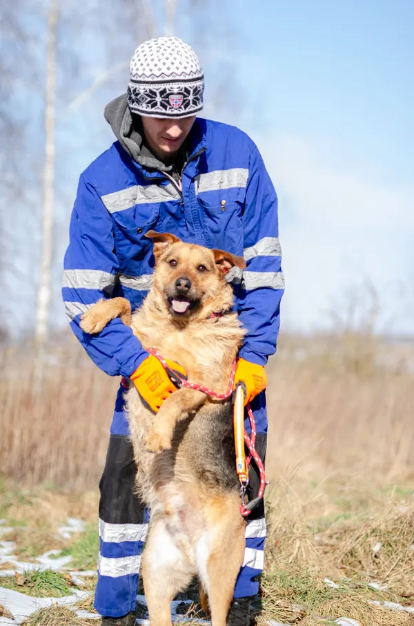 Oddam psa, Elbląg, Śródmieście, 28 grudnia 2025 (2/4)