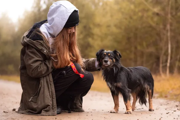 Pies do adopcji, Nowodwór, 28 grudnia 2025 (3/5)