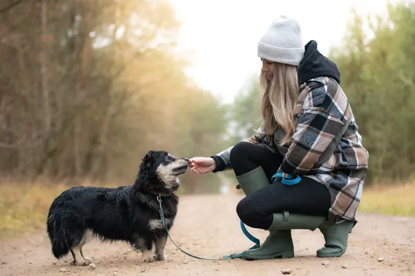 Pies do adopcji, Nowodwór, 28 grudnia 2025 (4/5)