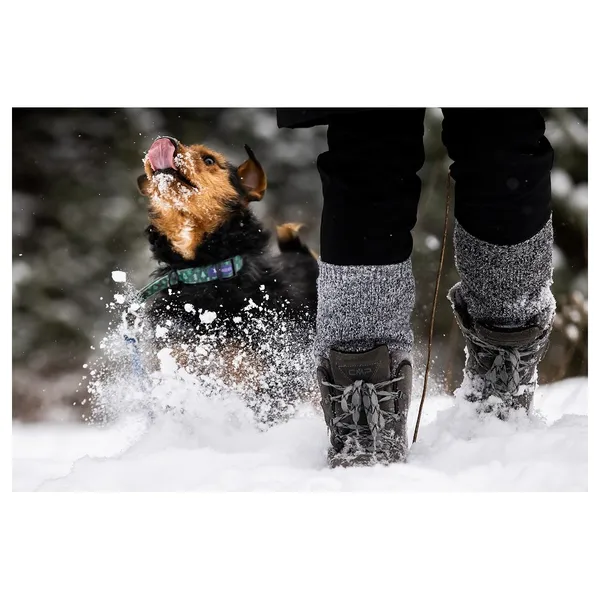 Znaleziono psa, Białystok, 15 października 2025 (4/5)