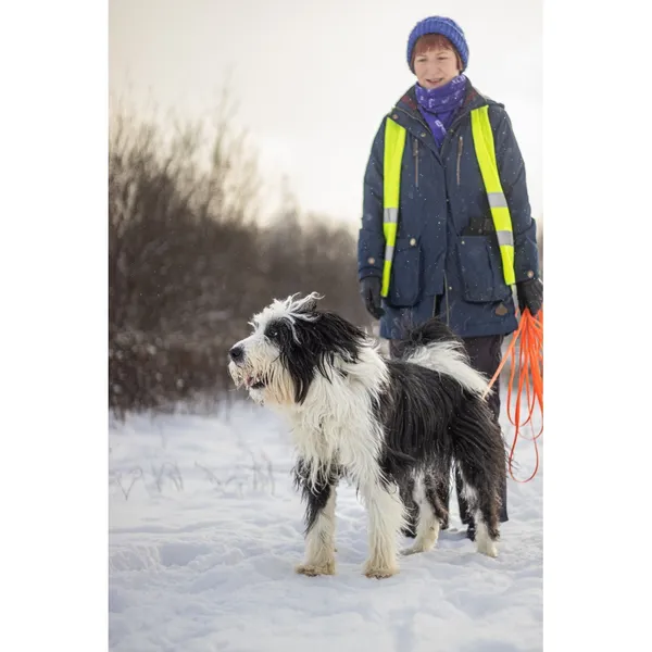 Znaleziono psa, Białystok, 3 grudnia 2025 (5/5)