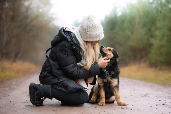 Pies do adopcji, Nowodwór, 5 stycznia 2026 (2/5)