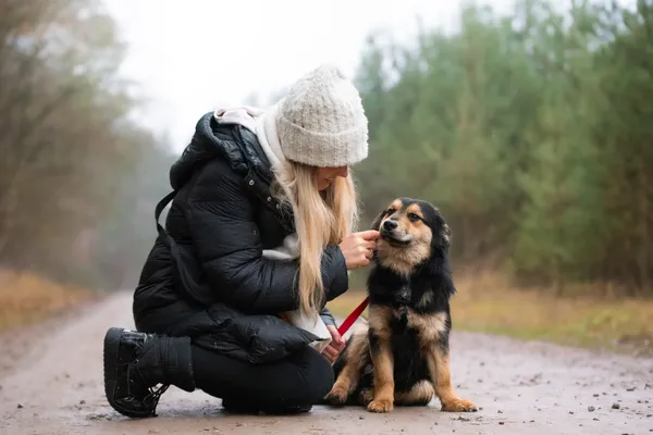 Pies do adopcji, Nowodwór, 5 stycznia 2026 (4/5)