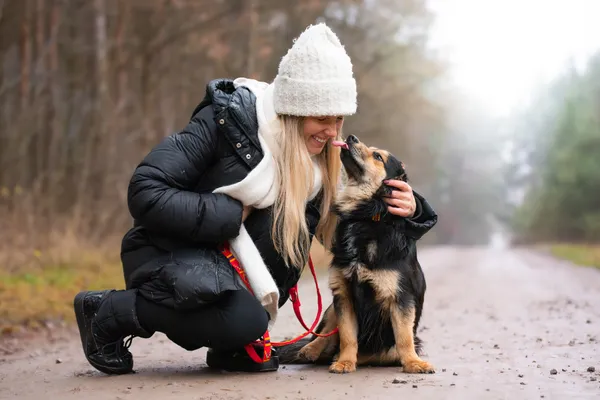 Pies do adopcji, Nowodwór, 5 stycznia 2026 (5/5)