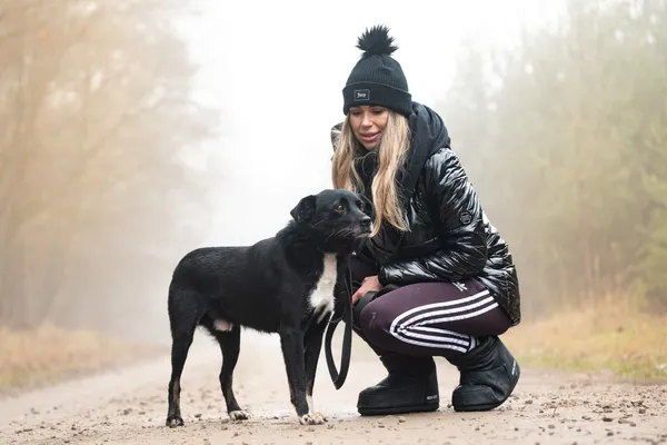 Pies do adopcji, Nowodwór, 6 stycznia 2026 (1/5)