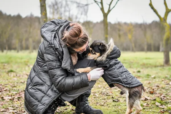 Pies do adopcji, Radom, 6 stycznia 2026 (2/5)