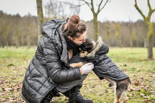 Pies do adopcji, Radom, 6 stycznia 2026 (3/5)