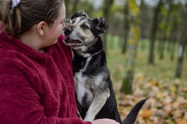 Pies do adopcji, Radom, 6 stycznia 2026 (5/5)