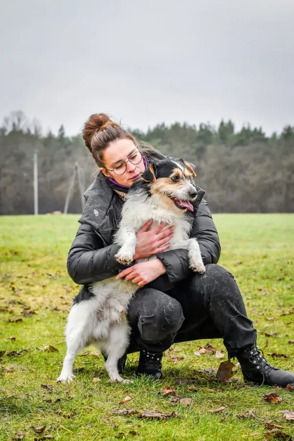 Pies do adopcji, Radom, 6 stycznia 2026 (4/5)