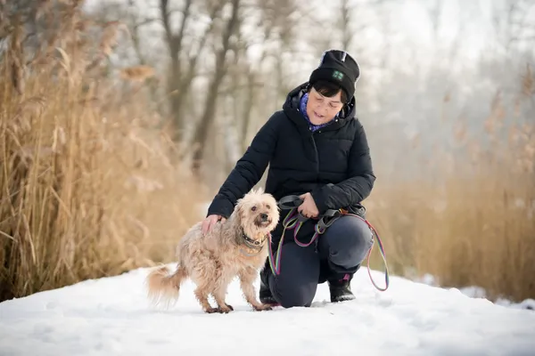 Znaleziono psa, Sosnowiec, 31 grudnia 2025 (5/5)
