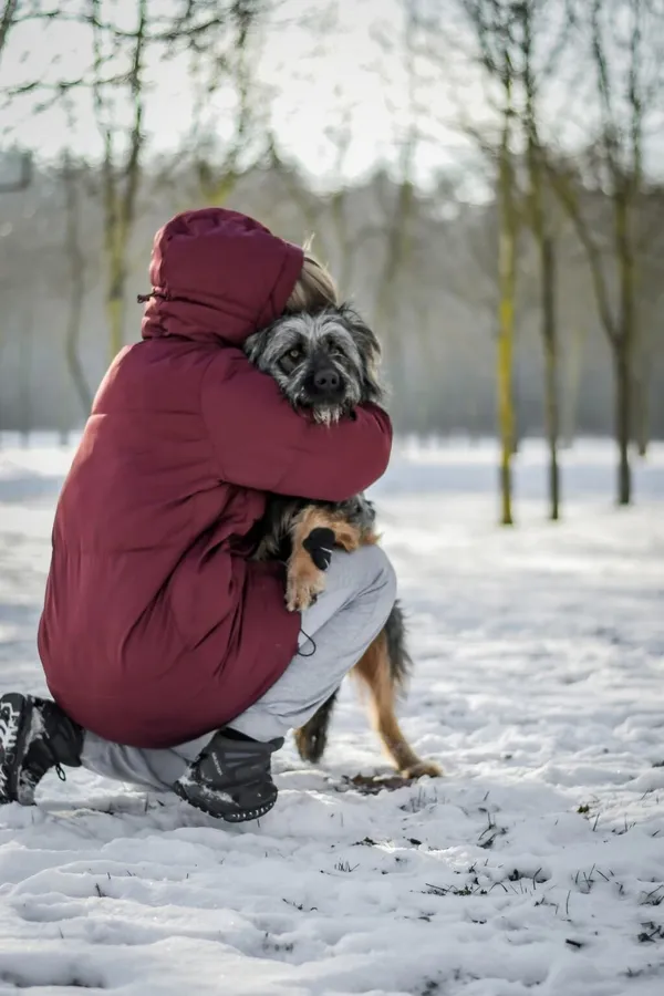 Pies do adopcji, Radom, 28 stycznia 2026 (5/5)