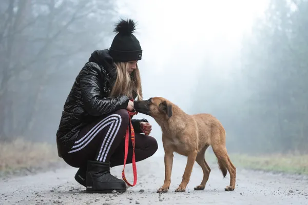 Pies do adopcji, Nowodwór, 13 stycznia 2026 (4/5)