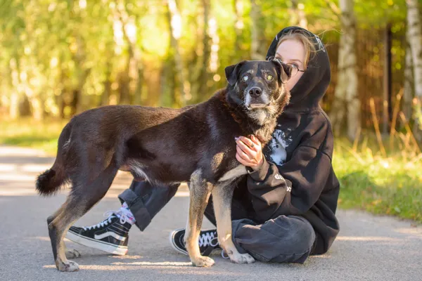 Pies do adopcji, Nowodwór, 13 stycznia 2026 (1/5)