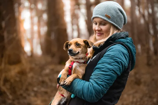 Pies do adopcji, Nowodwór, 13 stycznia 2026 (3/5)