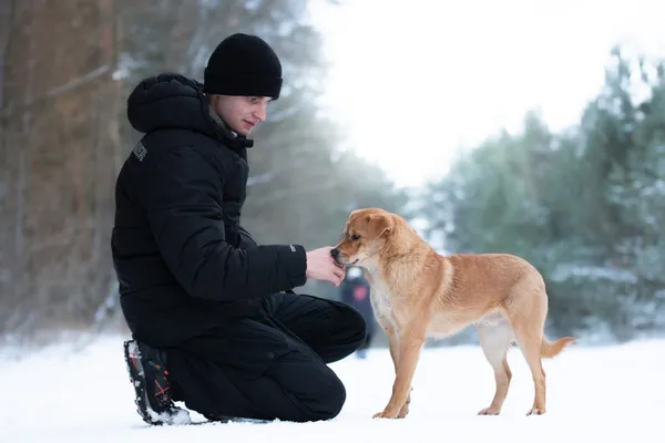 Pies do adopcji, Nowodwór, 13 stycznia 2026 (4/5)
