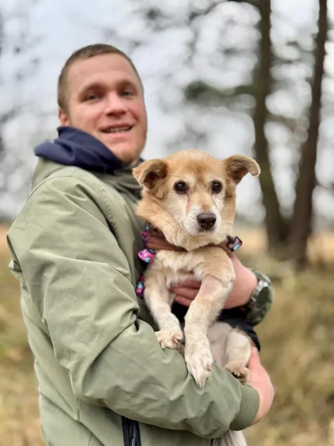 Pies do adopcji, Piła, 1 listopada 2025 (5/5)