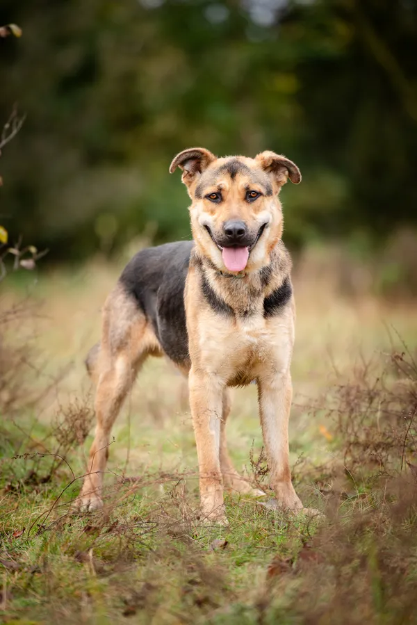 Oddam psa, Warszawa, Zacisze, 19 stycznia 2026 (5/5)