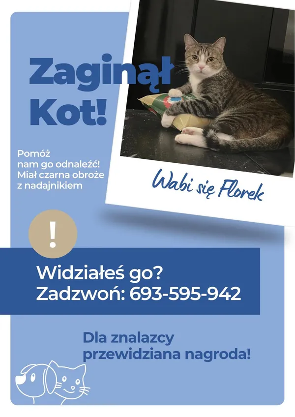 Zaginął kot, Tarnowskie Góry, 19 stycznia 2026
