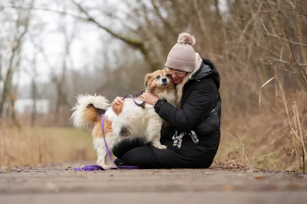 Znaleziono psa, Sosnowiec, 13 stycznia 2026 (1/5)