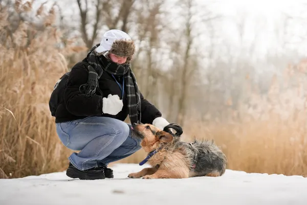 Znaleziono psa, Sosnowiec, 13 stycznia 2026 (4/5)