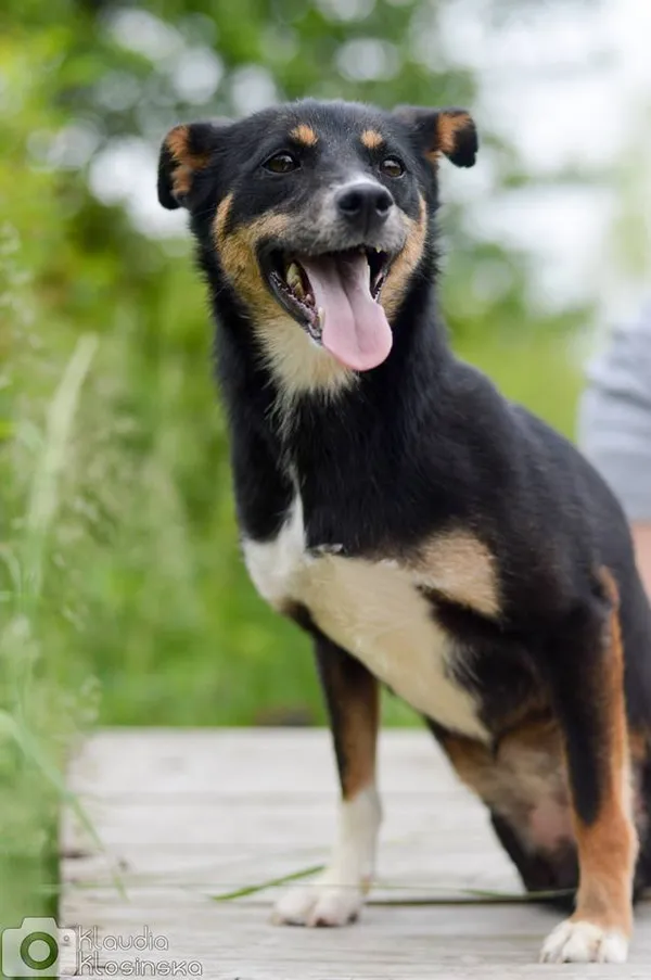 Oddam psa, Warszawa, Żerań, 22 stycznia 2026 (3/5)