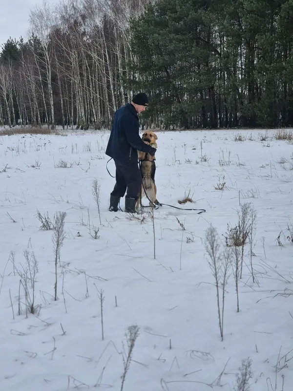 Oddam psa, Warszawa, Wrzeciono, 25 stycznia 2026 (2/5)