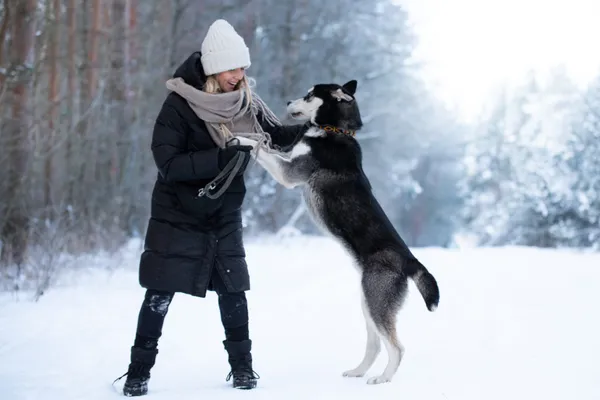 Pies do adopcji, Nowodwór, 21 stycznia 2026 (3/5)