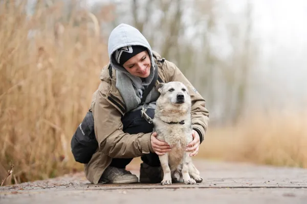 Znaleziono psa, Sosnowiec, 22 stycznia 2026 (2/5)